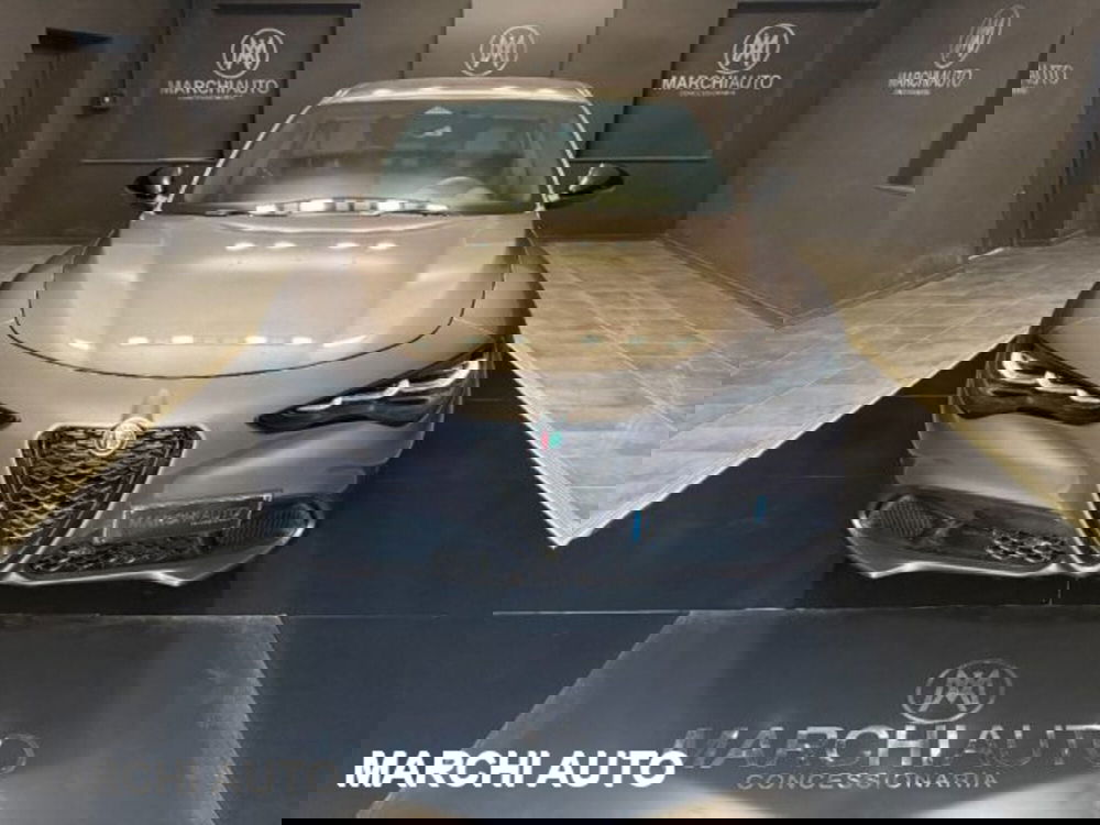 Alfa Romeo Stelvio usata a Perugia (2)