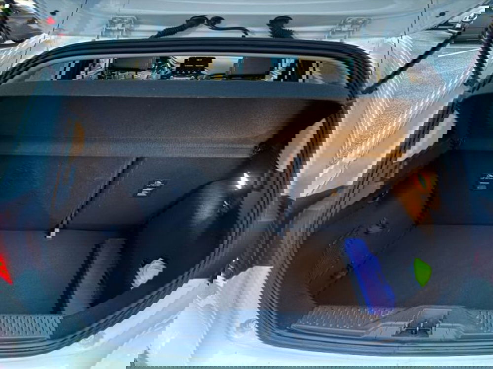 Ford Fiesta usata a Lucca (11)