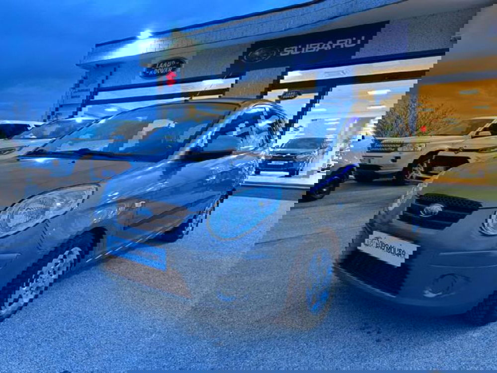 Kia Picanto usata a Campobasso (9)