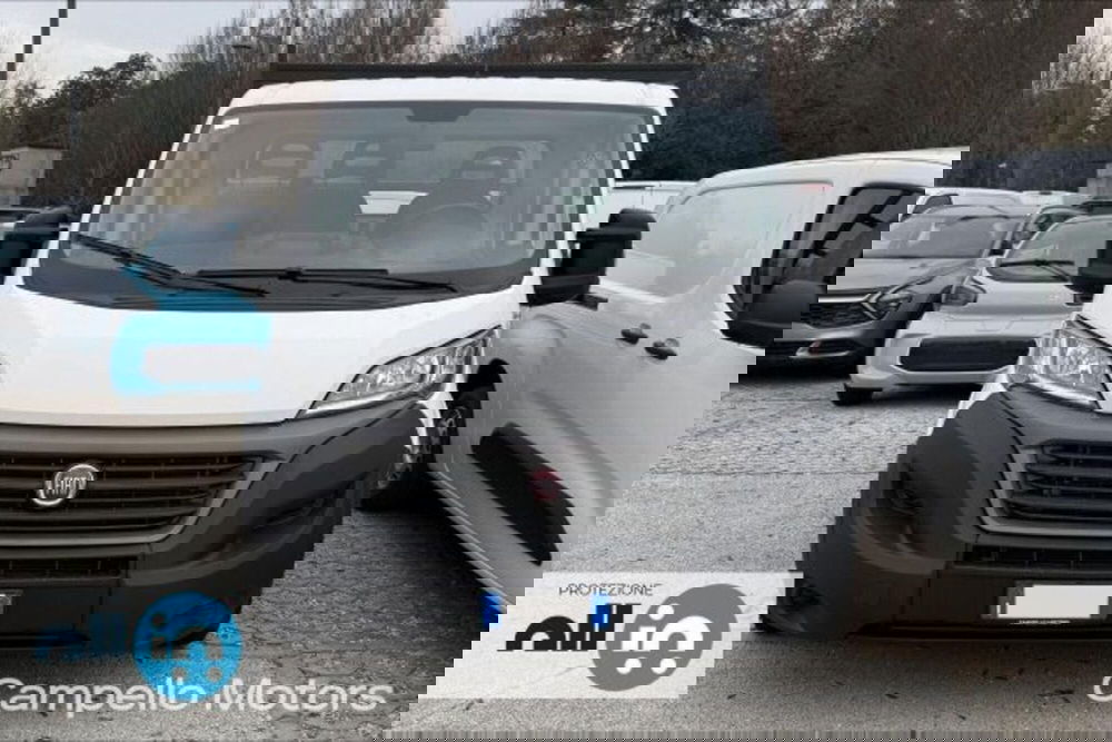 Fiat Ducato Cabinato Cabinato usata a Venezia (2)