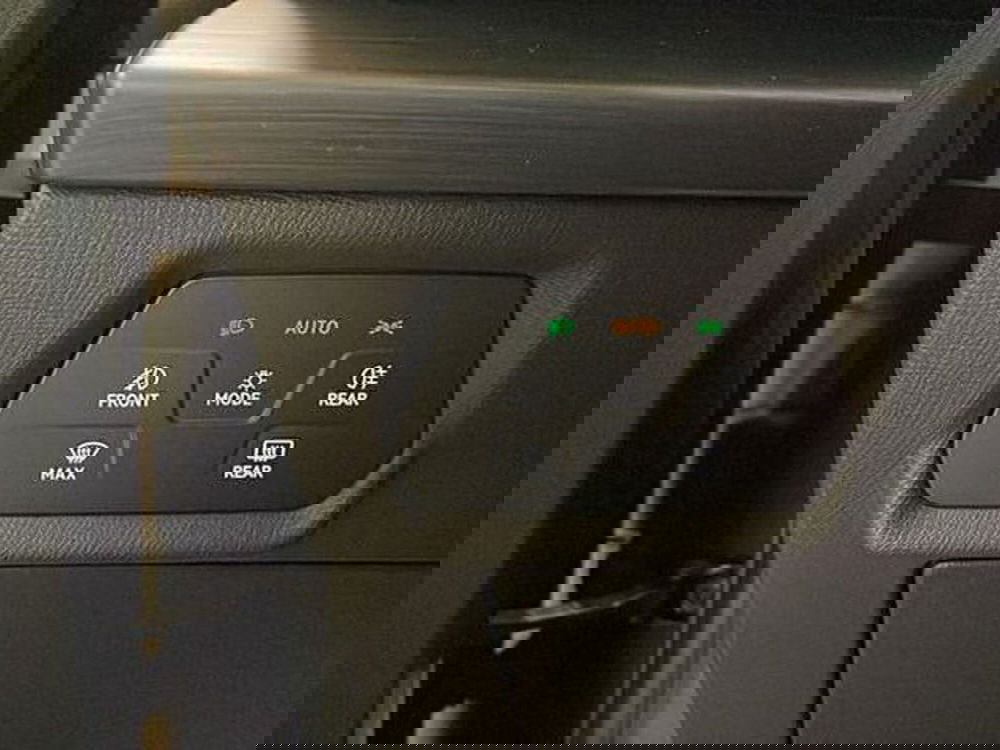 Cupra Formentor usata a Vicenza (15)