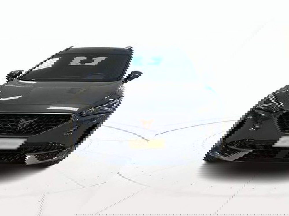 Cupra Formentor usata a Vicenza (2)