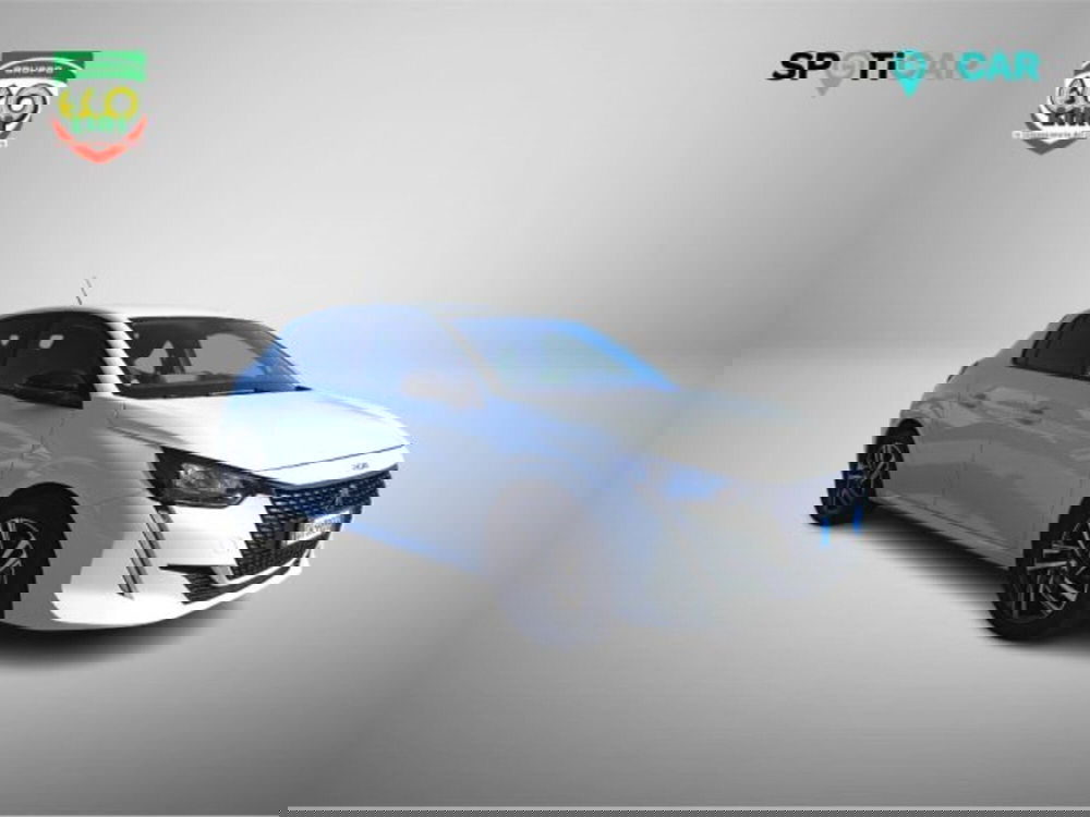 Peugeot 208 usata a Frosinone (3)