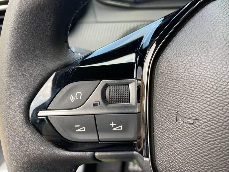 Peugeot 2008 usata a Torino (13)