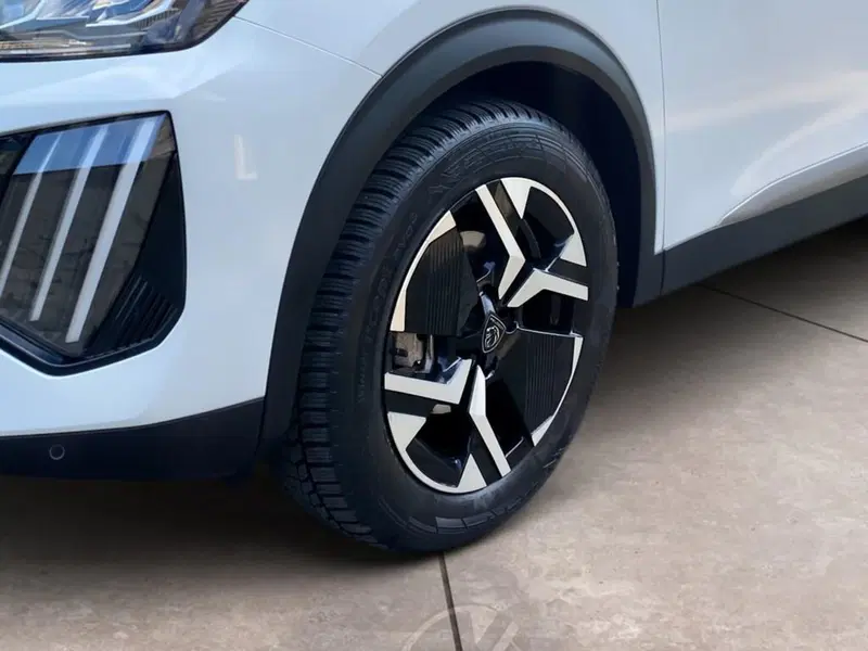 Peugeot 2008 usata a Torino (15)