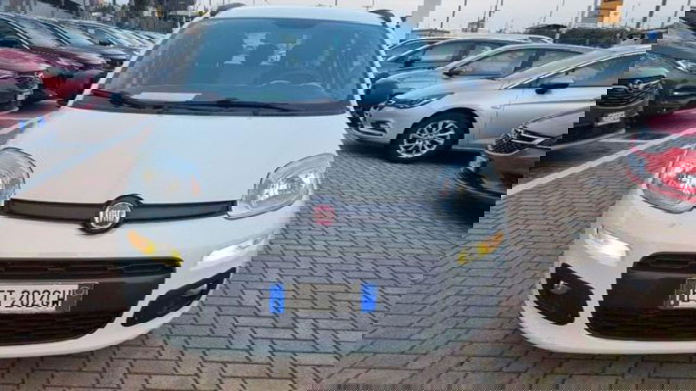 Fiat Panda usata a Savona