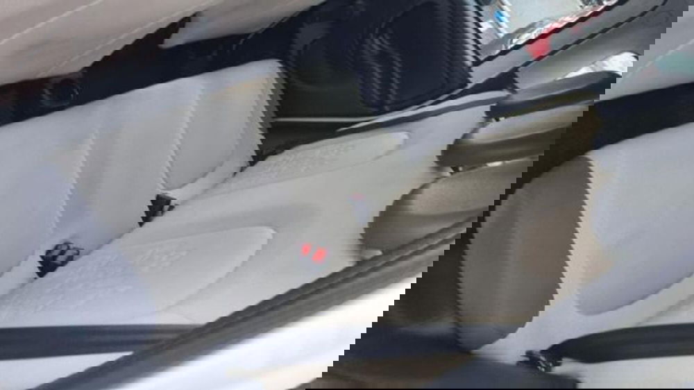 Fiat Panda usata a Savona (12)