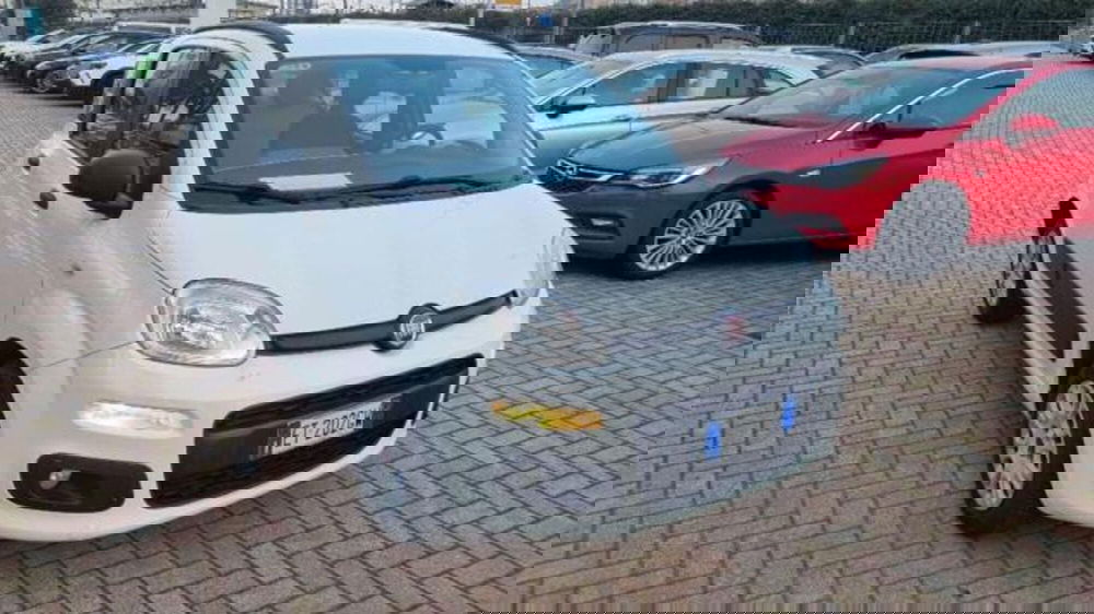 Fiat Panda usata a Savona (15)