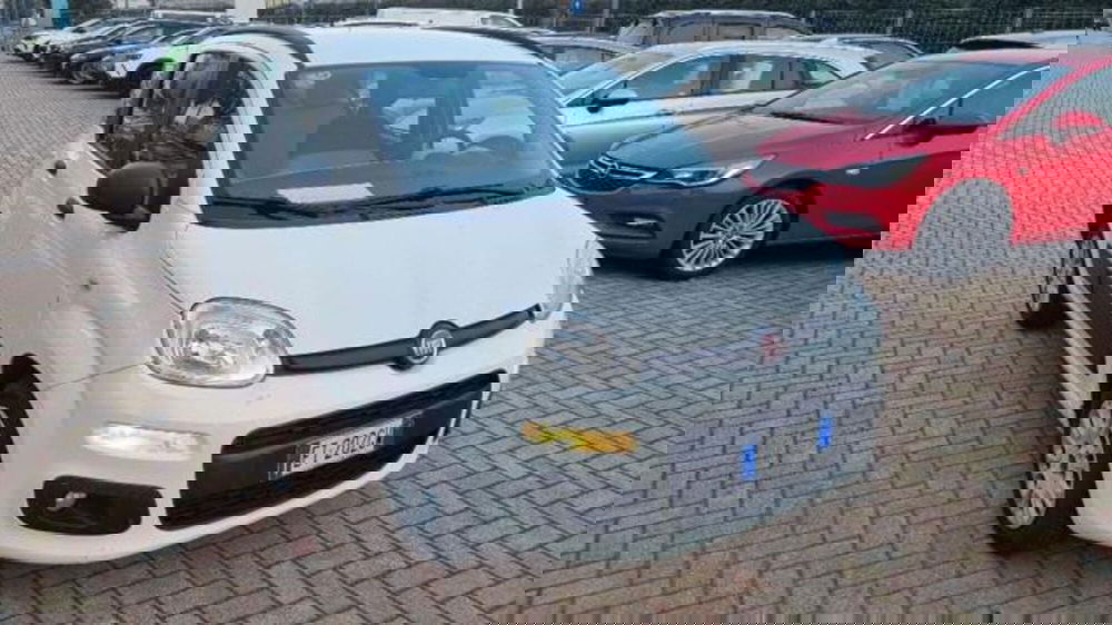 Fiat Panda usata a Savona (2)