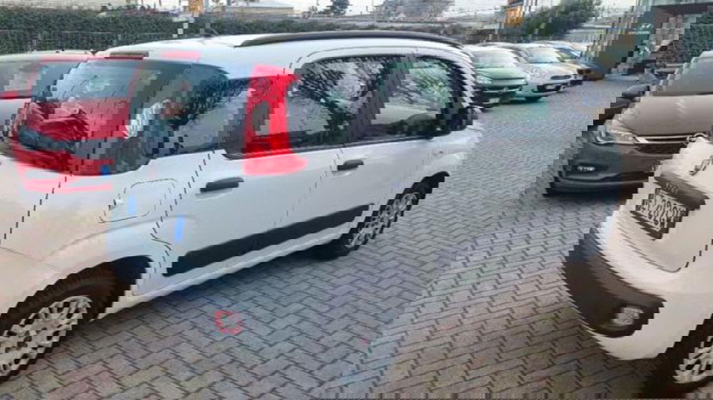 Fiat Panda usata a Savona (20)