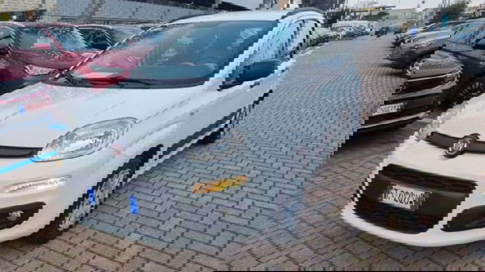 Fiat Panda usata a Savona (3)