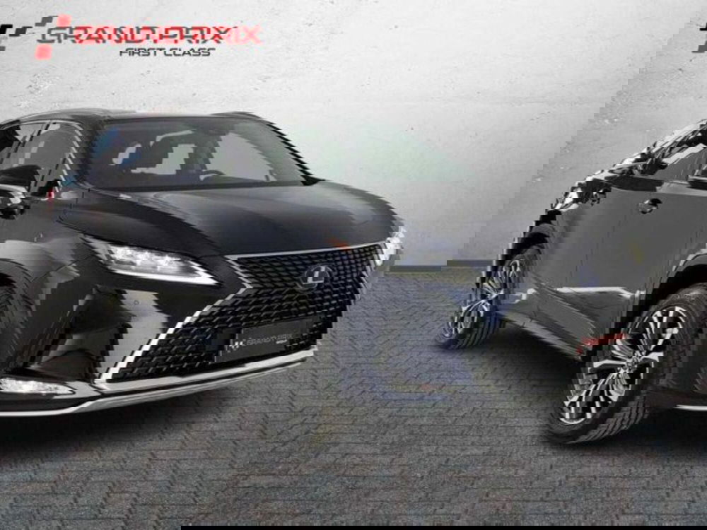 Lexus RX usata a Bologna (2)