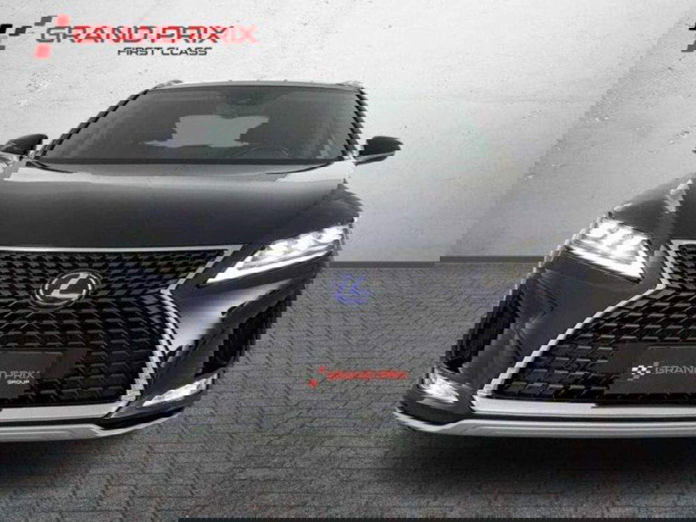 Lexus RX usata a Bologna (5)