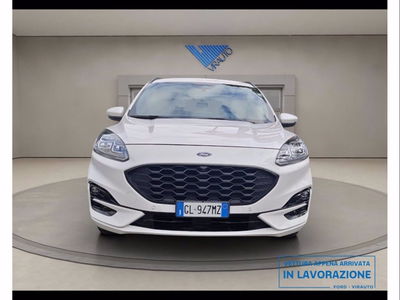 Ford Kuga 1.5 EcoBlue 120 CV 2WD ST-Line del 2022 usata a Catania