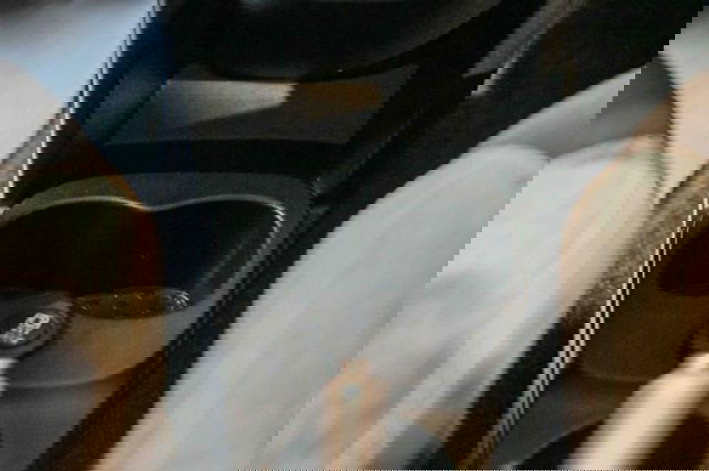 Fiat Panda usata a Torino (19)