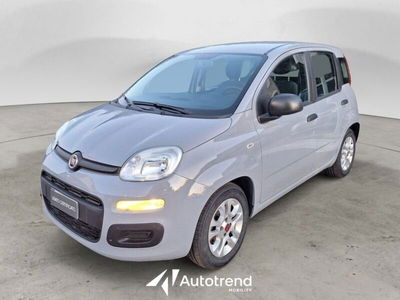 Fiat Panda 1.0 FireFly S&amp;S Hybrid City Cross del 2021 usata a Lecce