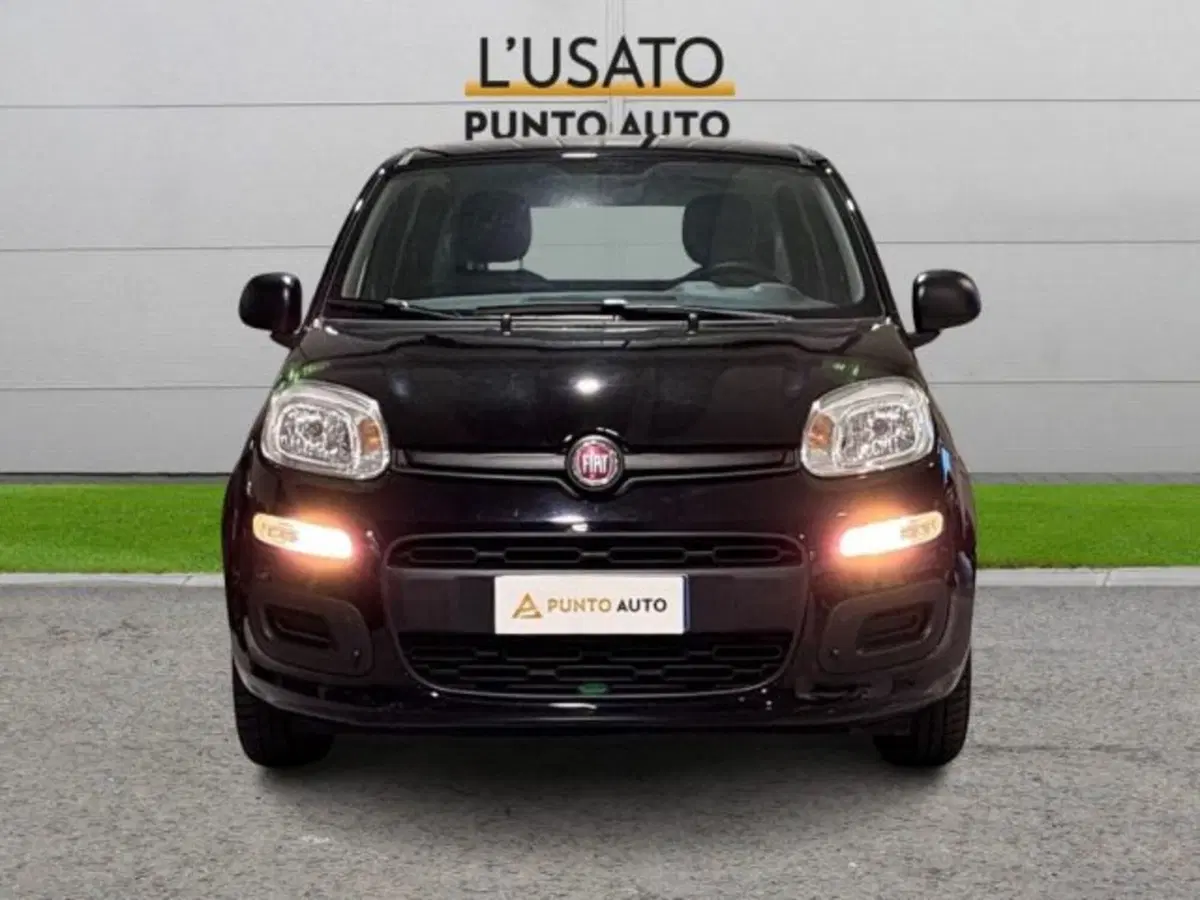 Fiat Panda usata a Ancona (2)