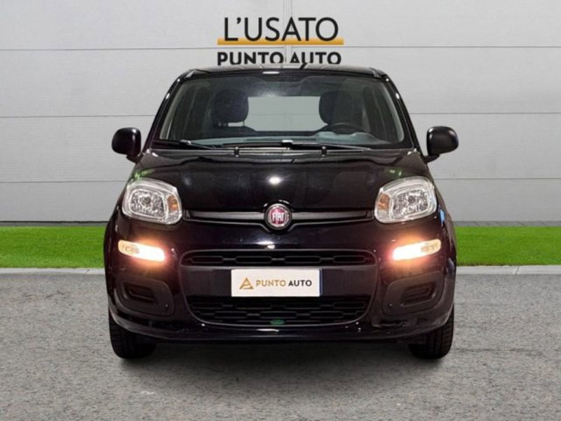 Fiat Panda usata a Ancona (2)