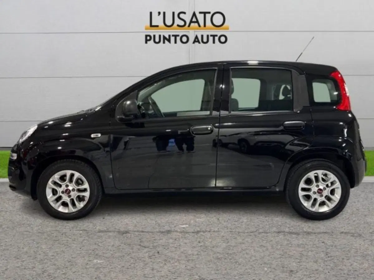 Fiat Panda usata a Ancona (4)