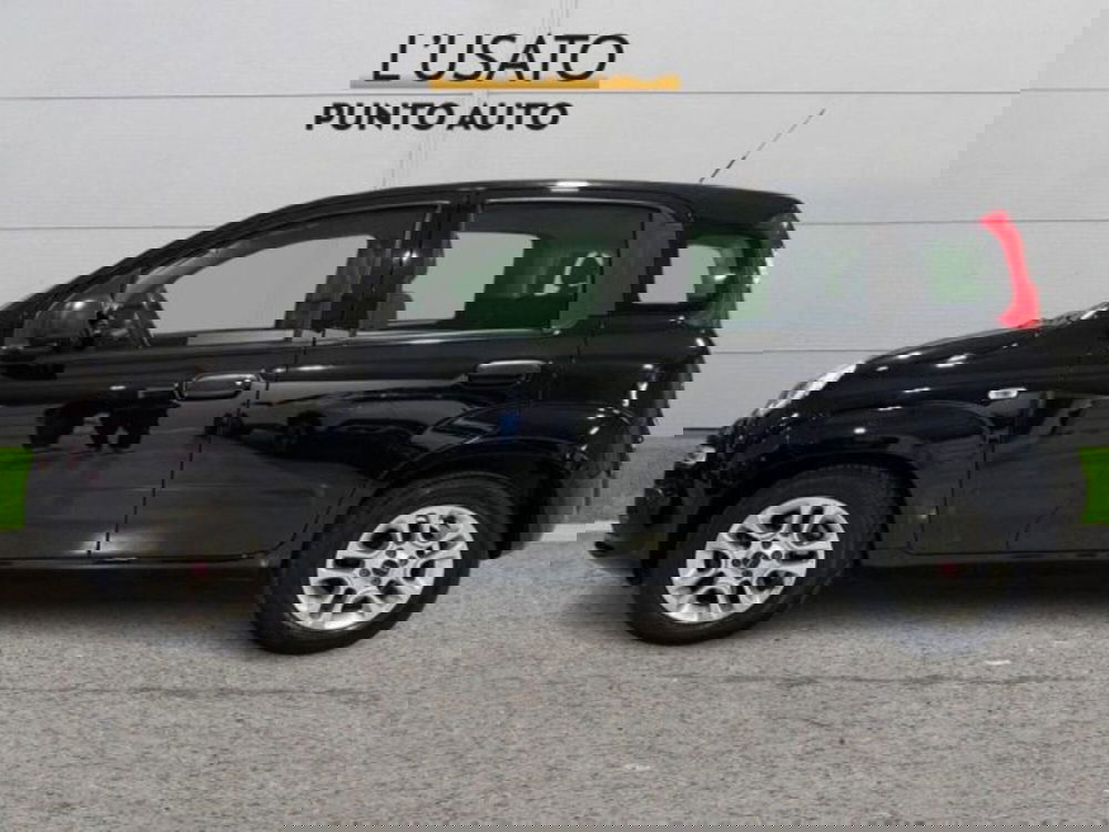 Fiat Panda usata a Ancona (4)