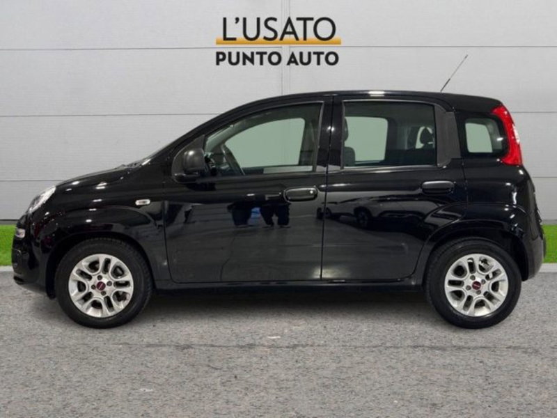 Fiat Panda usata a Ancona (4)