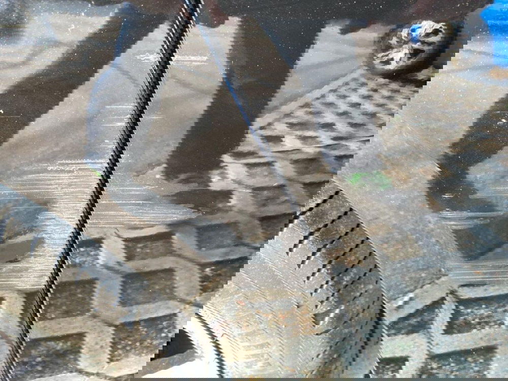 Peugeot 208 usata a Torino (12)