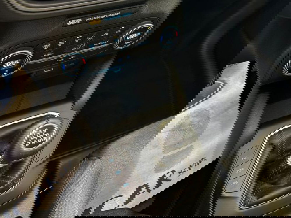 Ford Focus usata a Cuneo (16)