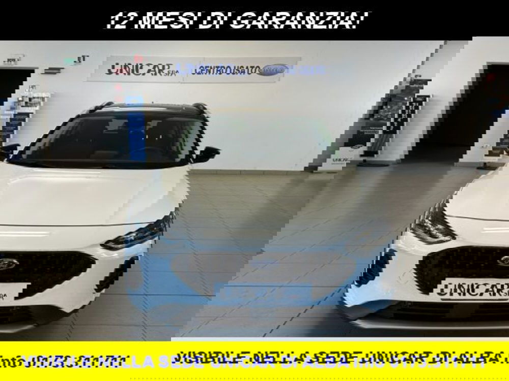 Ford Focus usata a Cuneo (2)