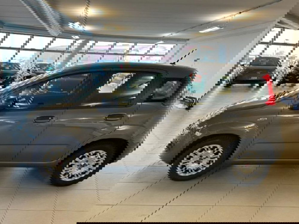 Fiat Panda usata a Cuneo (4)