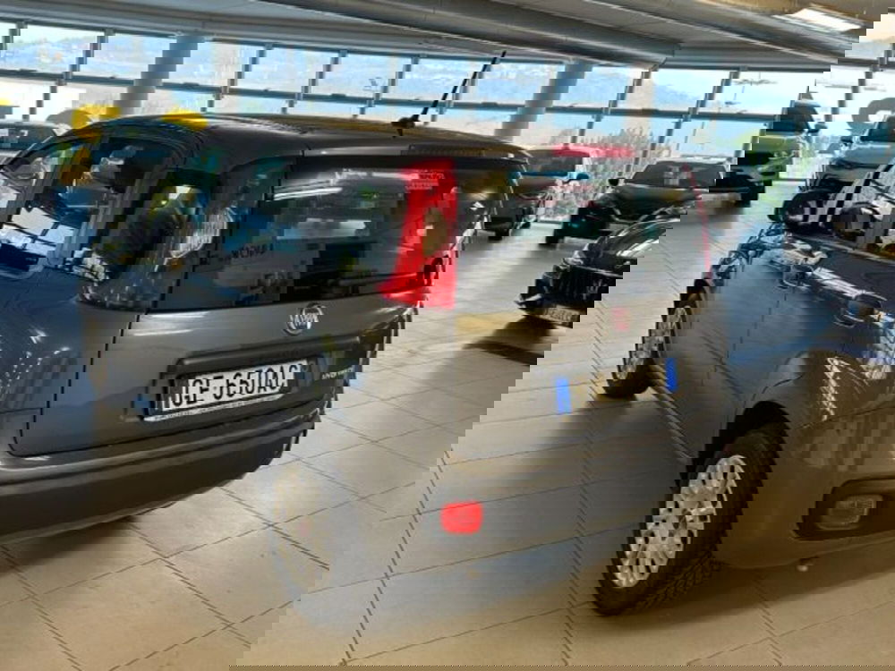 Fiat Panda usata a Cuneo (5)