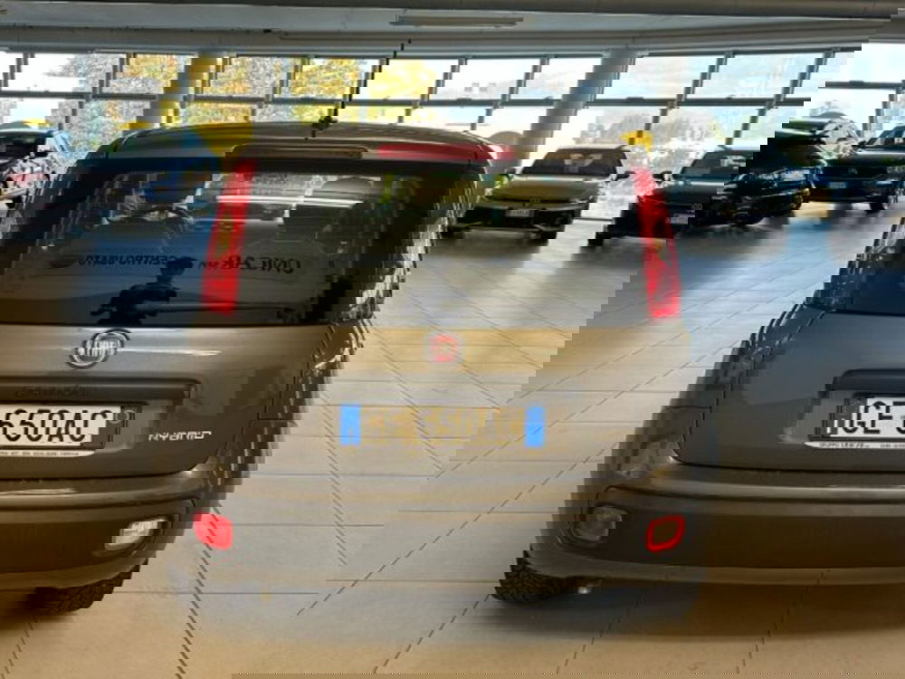 Fiat Panda usata a Cuneo (6)