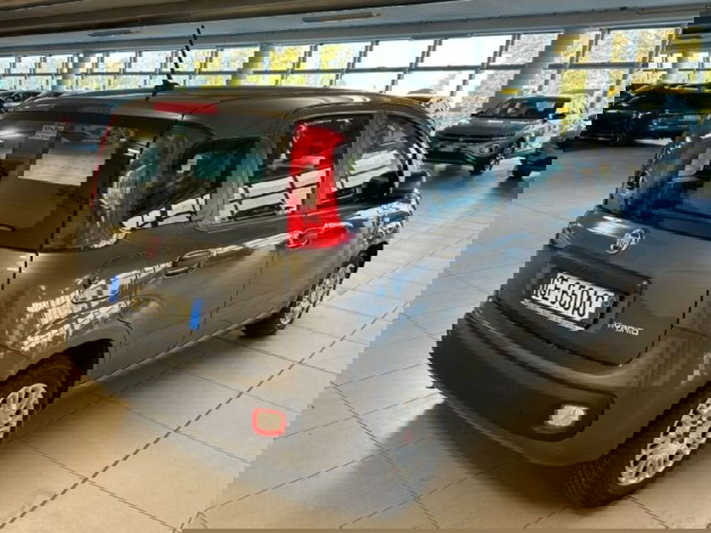 Fiat Panda usata a Cuneo (7)