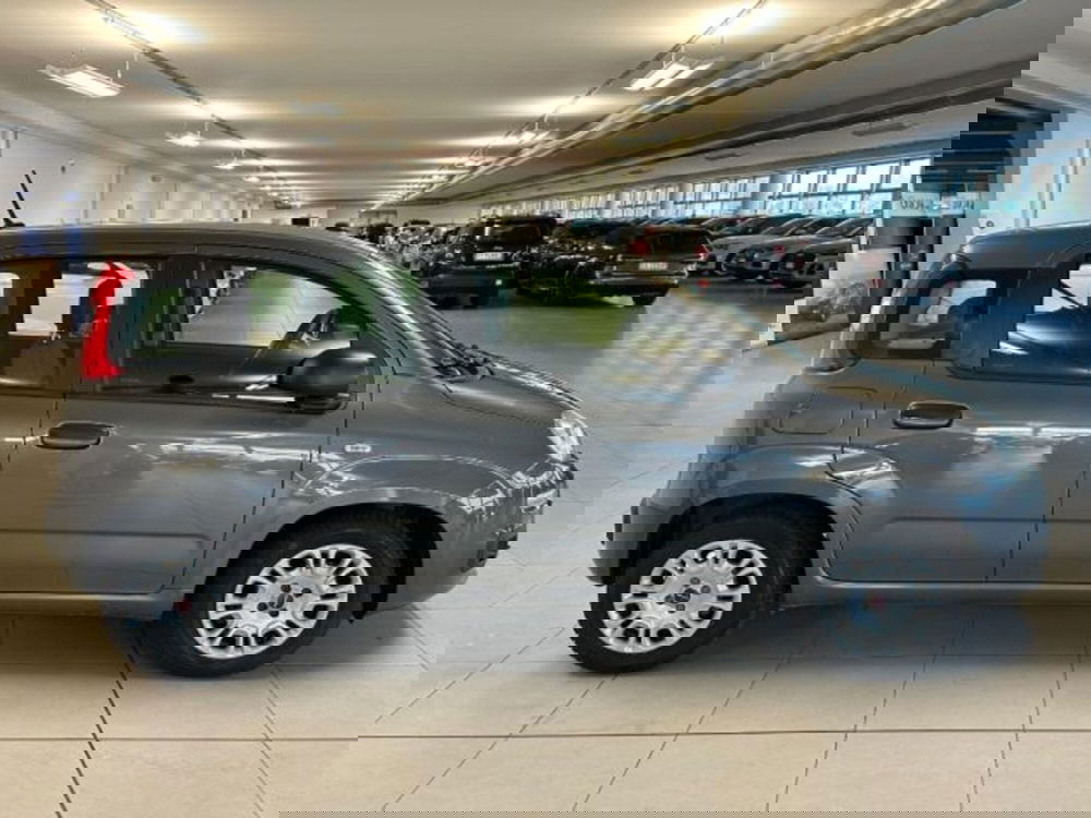 Fiat Panda usata a Cuneo (8)