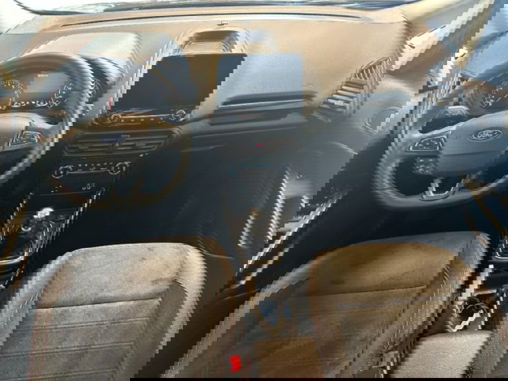 Ford EcoSport usata a Cuneo (10)