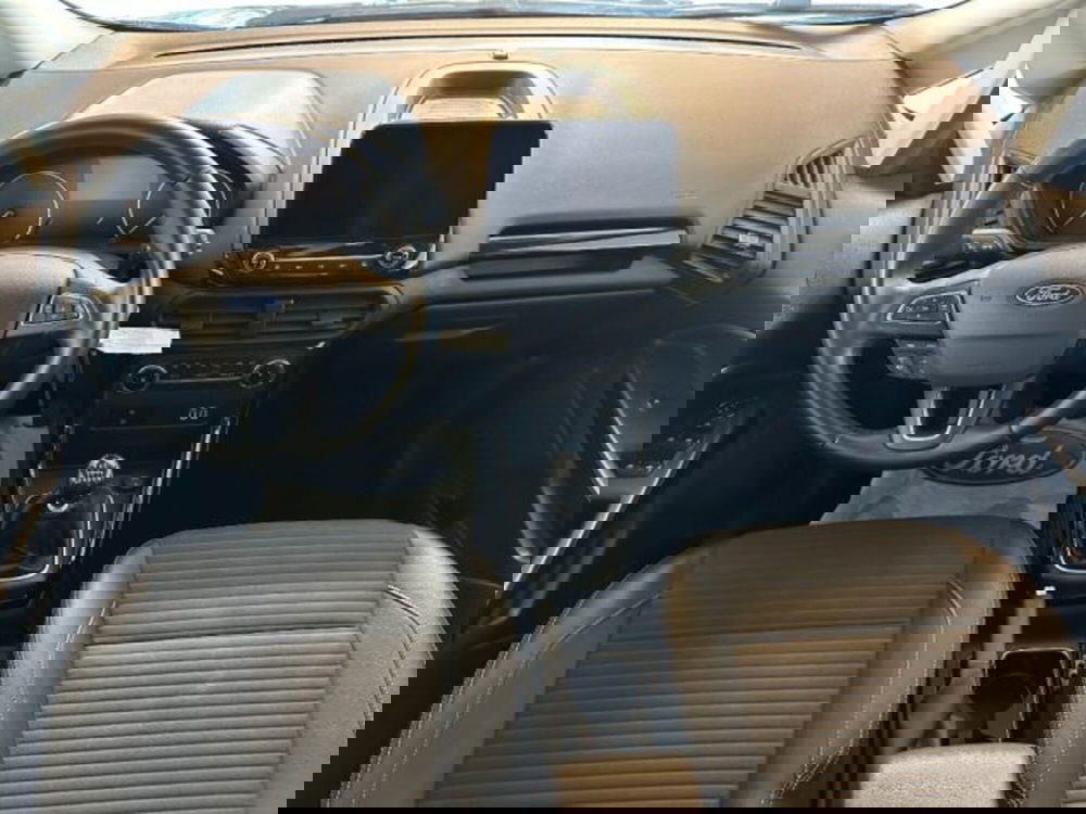 Ford EcoSport usata a Cuneo (10)