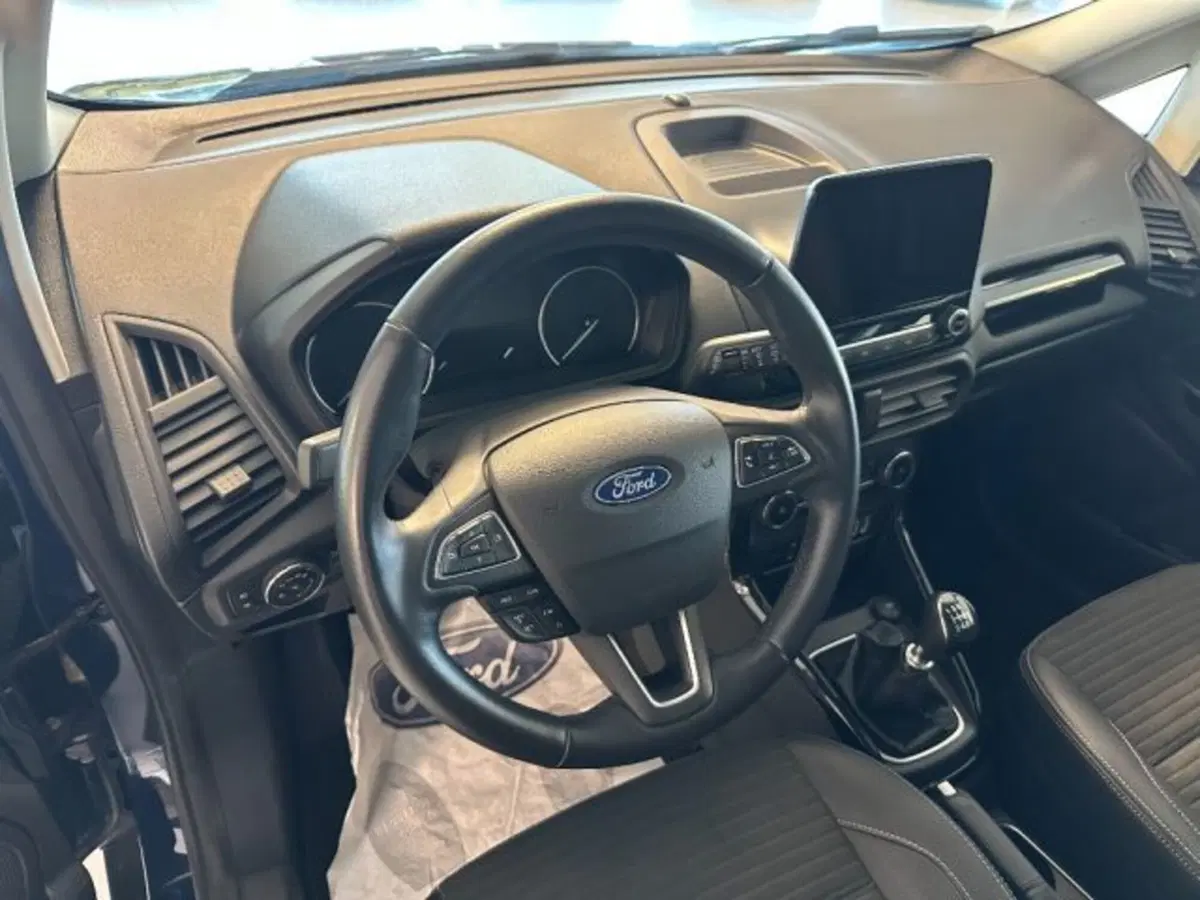 Ford EcoSport usata a Cuneo (9)