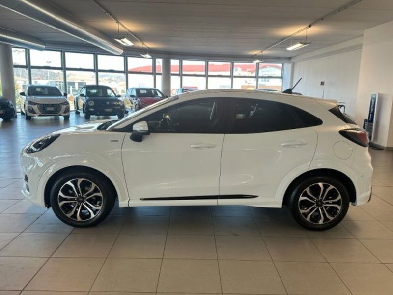 Ford Puma usata a Cuneo (4)