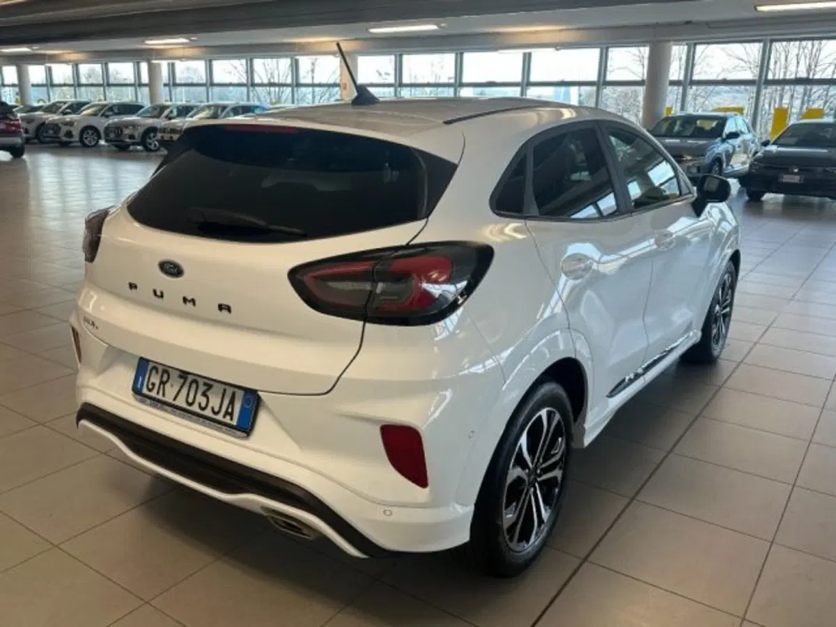 Ford Puma usata a Cuneo (7)