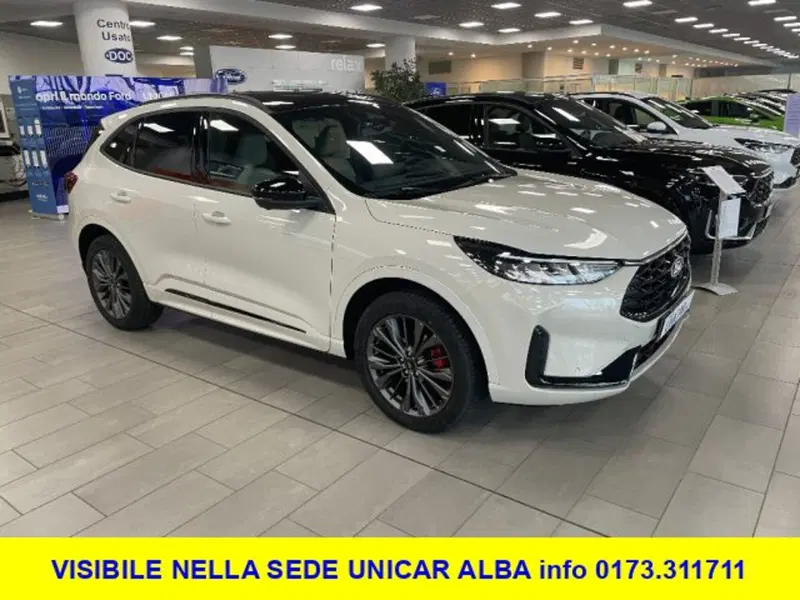 Ford Kuga nuova a Cuneo (2)