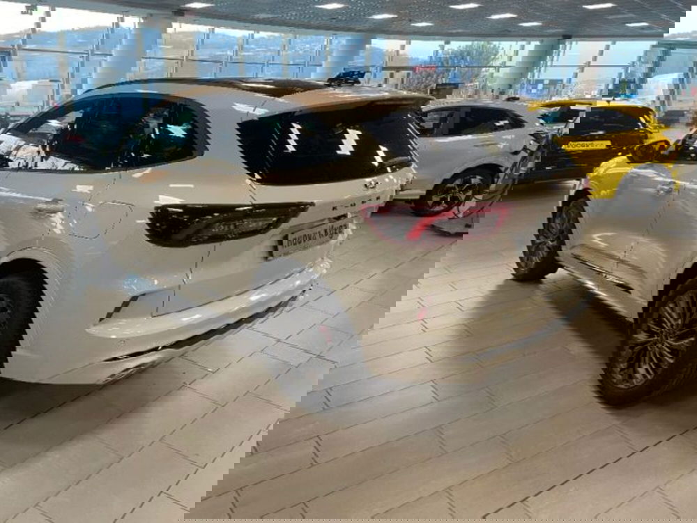 Ford Kuga nuova a Cuneo (5)