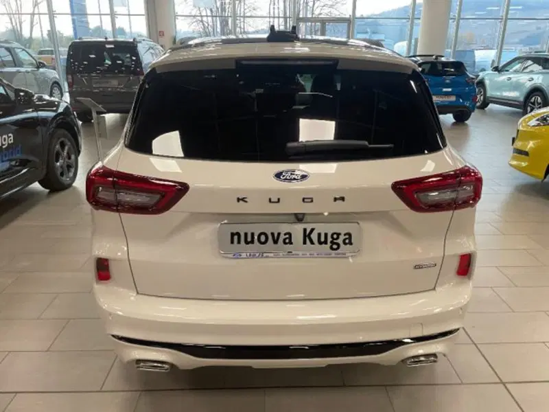 Ford Kuga nuova a Cuneo (6)