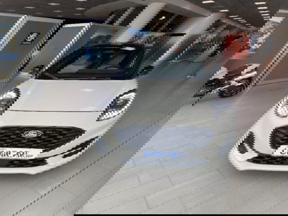 Ford Puma nuova a Cuneo (3)