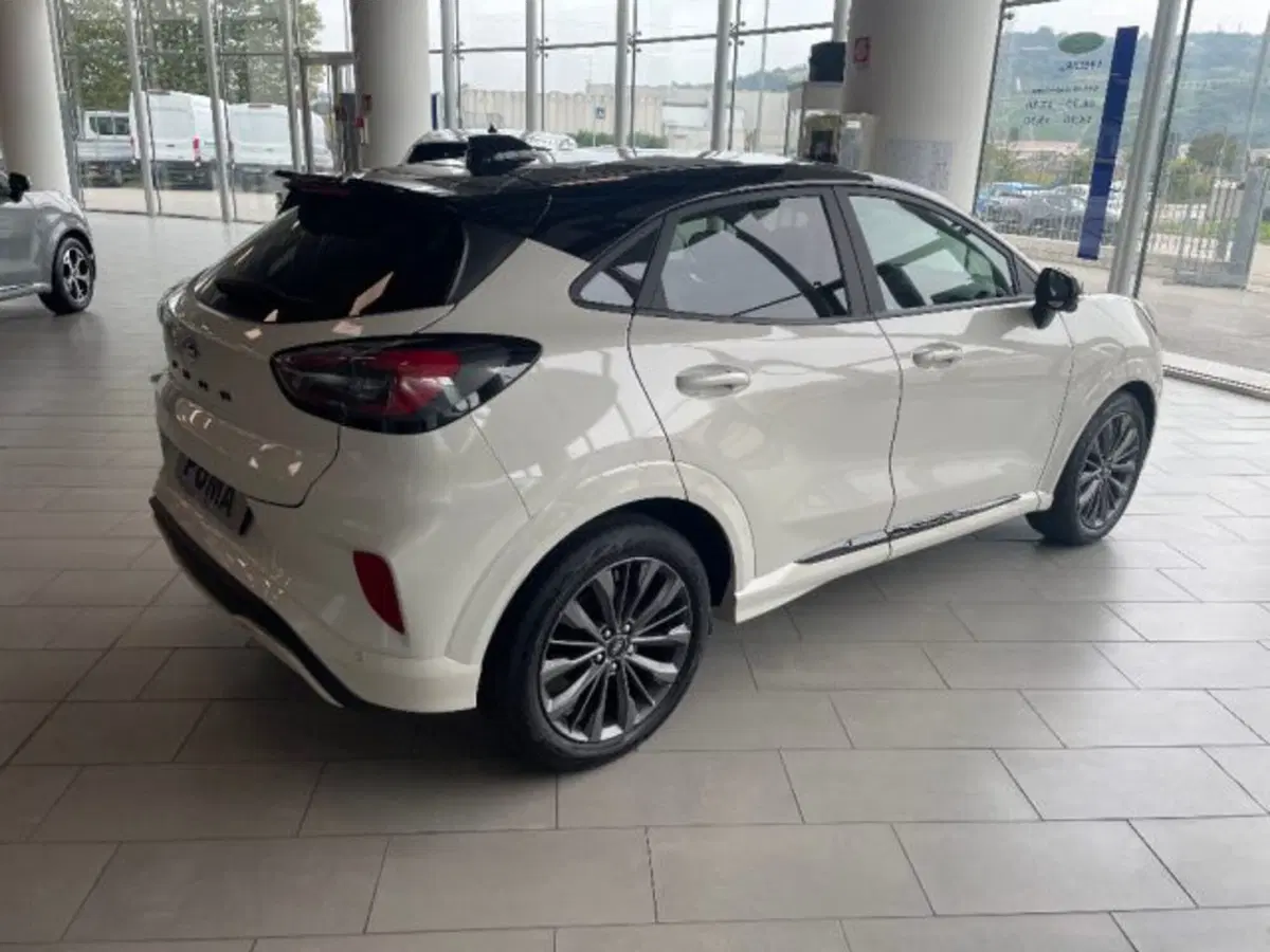 Ford Puma nuova a Cuneo (4)