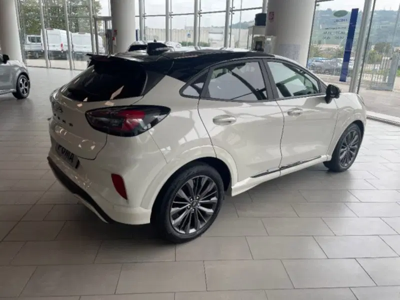 Ford Puma nuova a Cuneo (4)