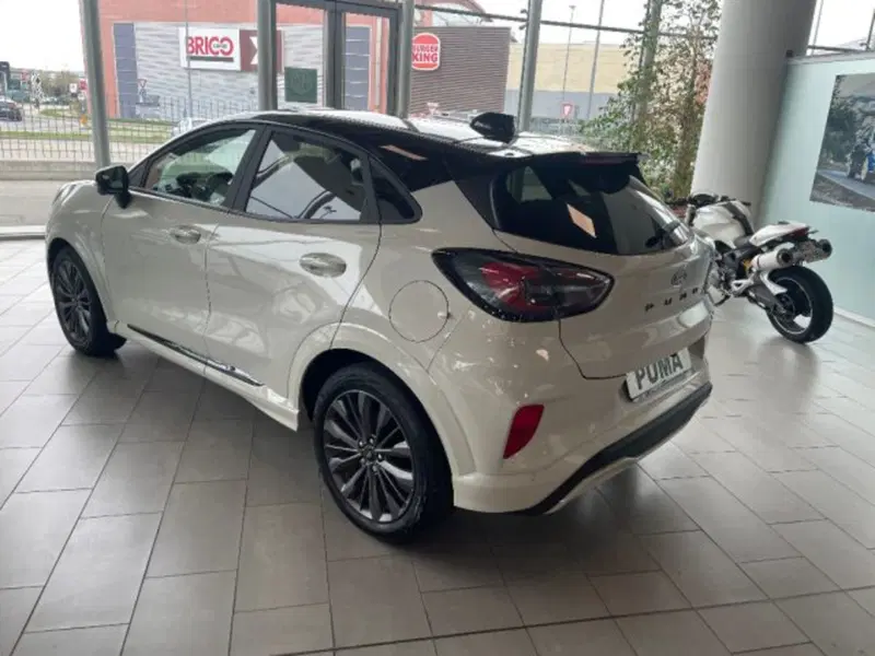 Ford Puma nuova a Cuneo (5)