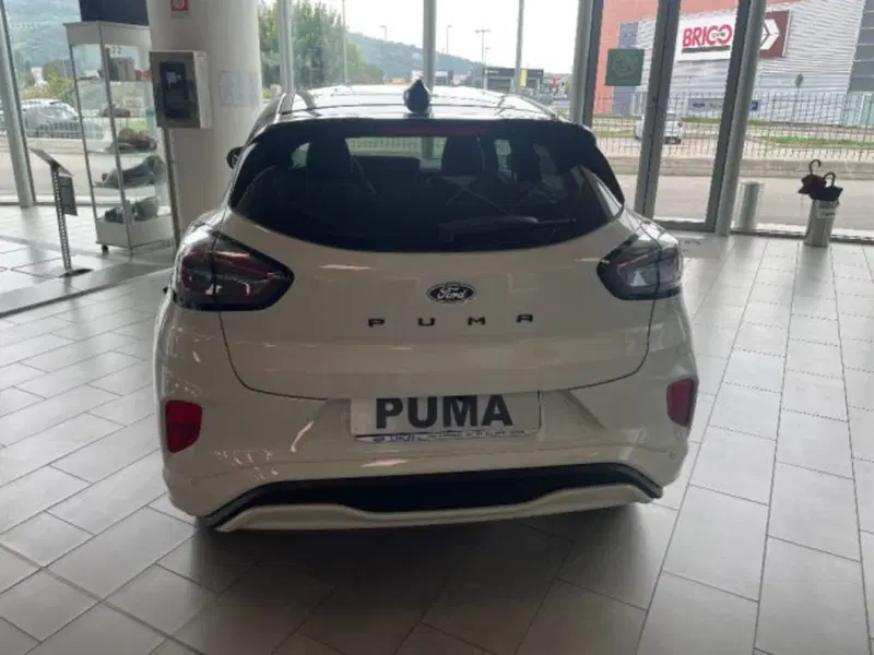Ford Puma nuova a Cuneo (6)