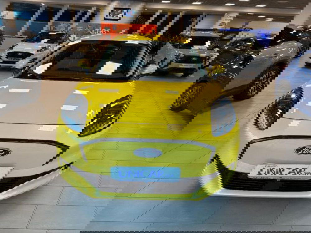 Ford Puma nuova a Cuneo (6)