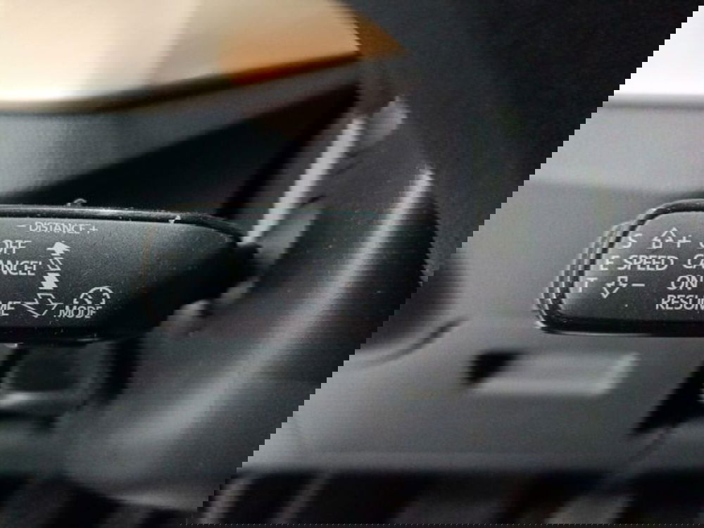 Skoda Kamiq usata a Catania (19)