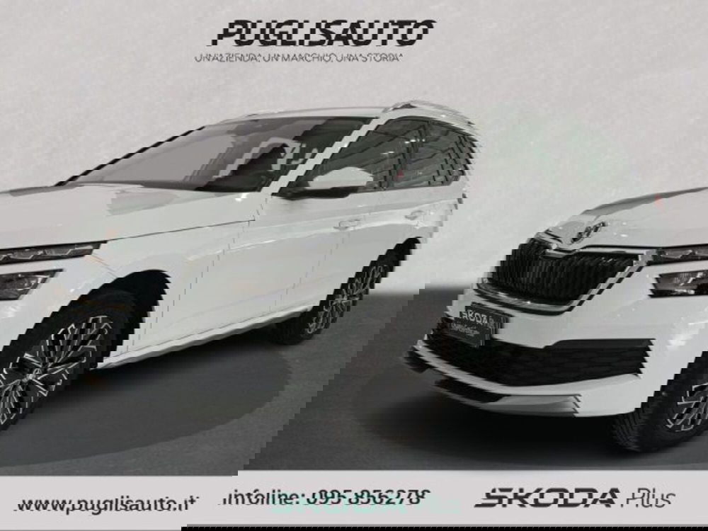 Skoda Kamiq usata a Catania (3)