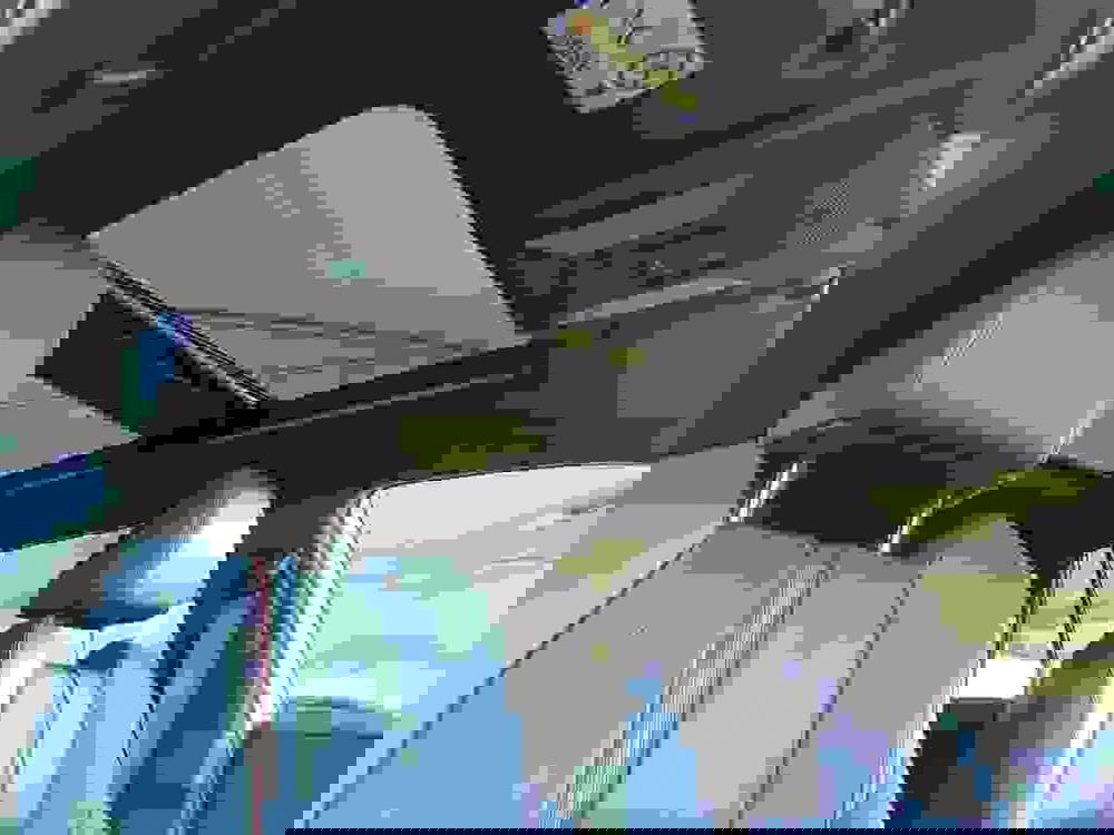 Toyota Rav4 usata a Monza e Brianza (11)